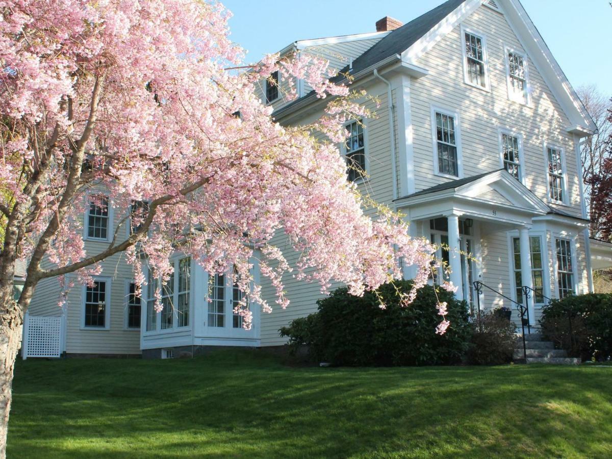 The Beech Tree B&B Rockport Exterior foto